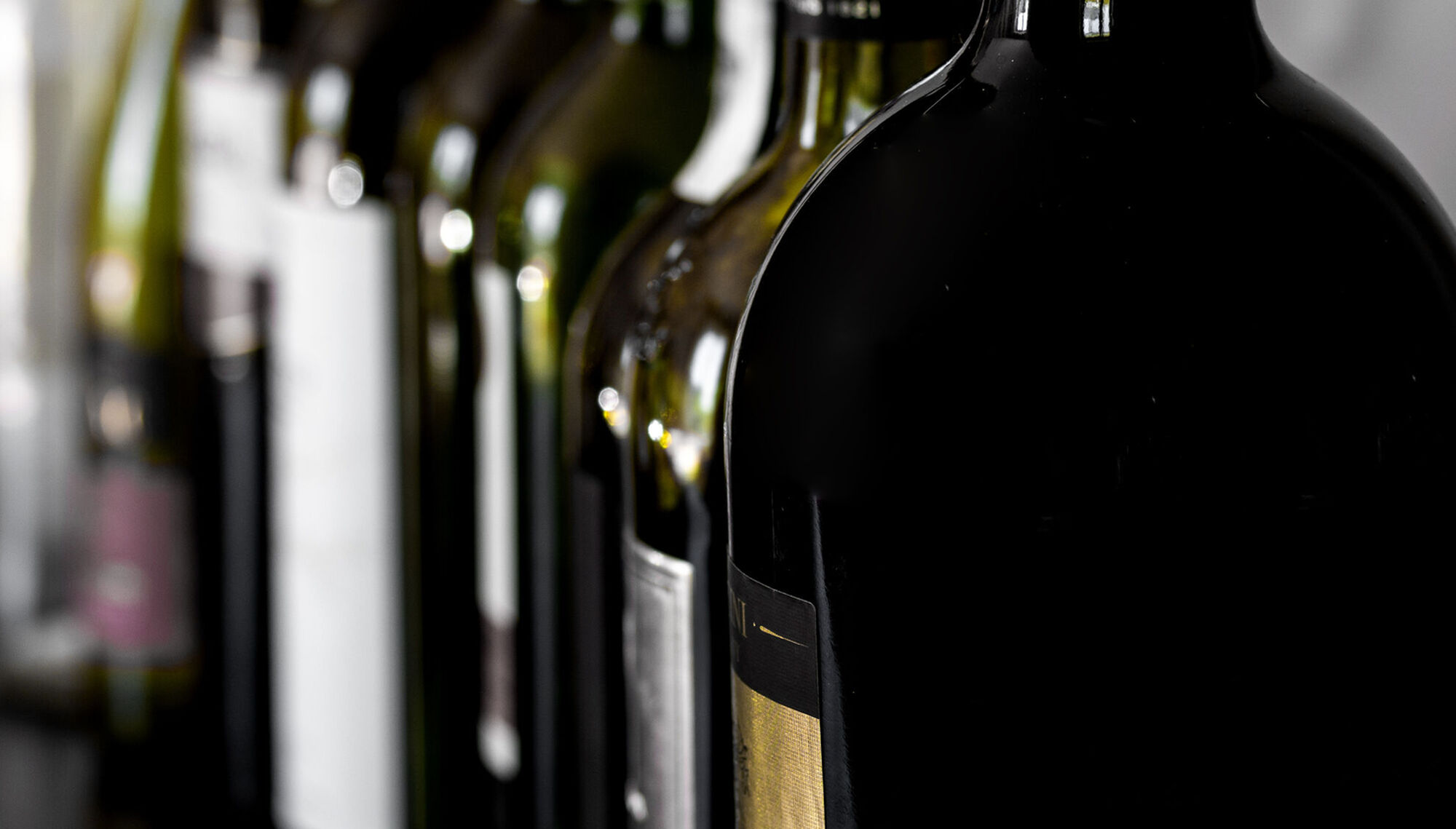 Valtellina e non solo: viaggio nel mondo del vino Valtellina e non solo: viaggio nel mondo del vino