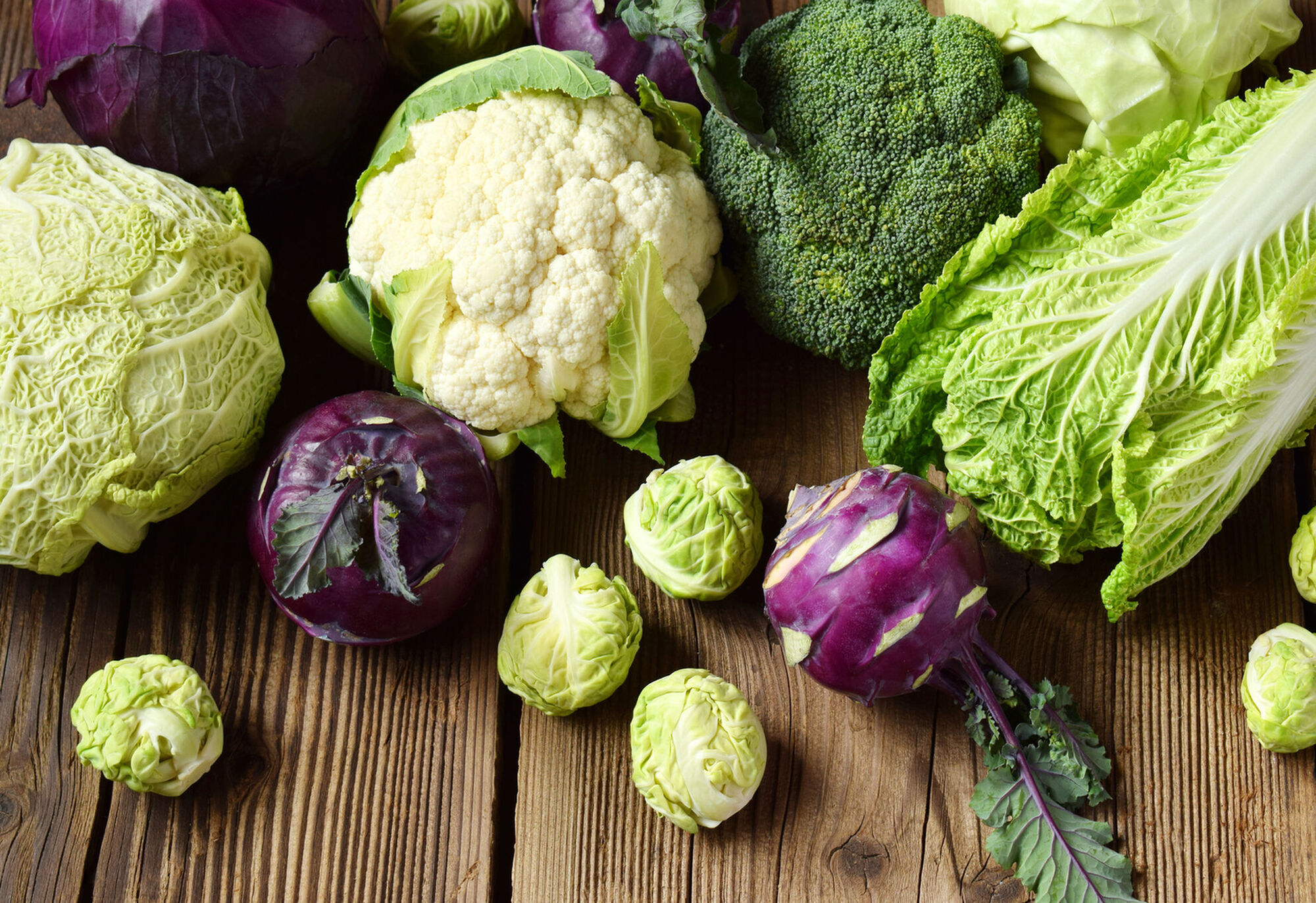 Inverno gustoso con le verdure