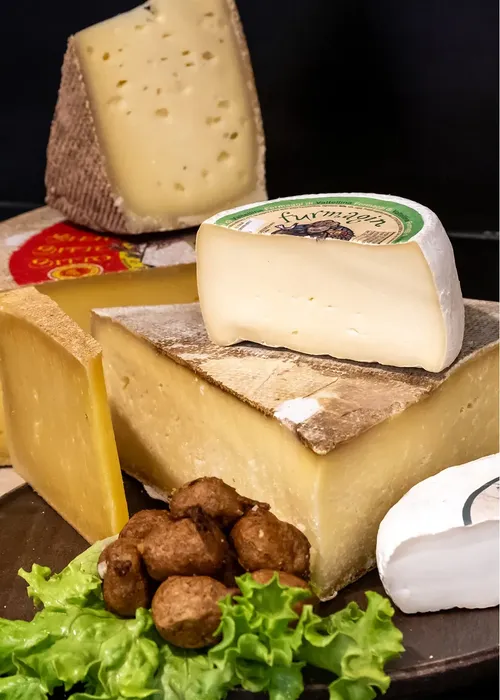 Formaggi e Gastronomia